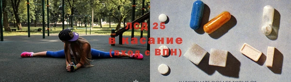 МДПВ Бородино
