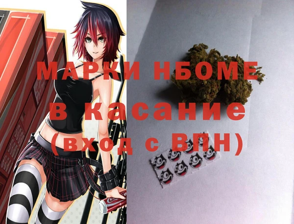 МДПВ Бородино