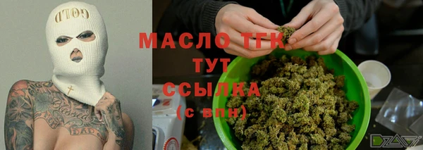 МДПВ Бородино