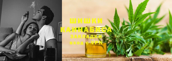 МДПВ Бородино