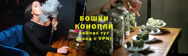 молекула духа Протвино
