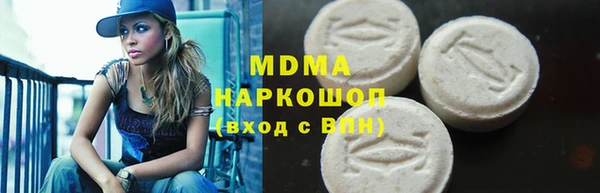 МДПВ Бородино
