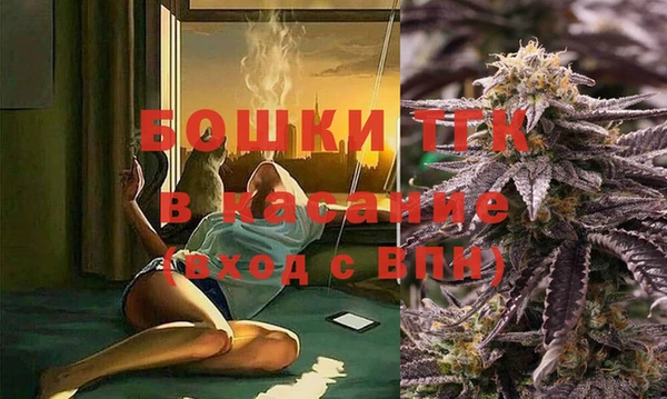 МДПВ Бородино