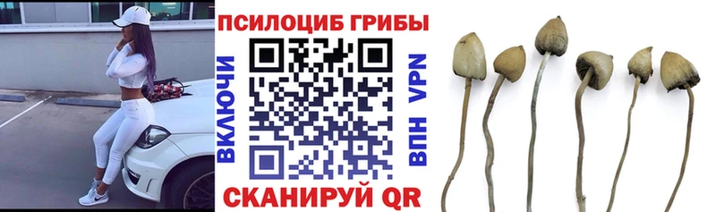 Галлюциногенные грибы Magic Shrooms  наркота  Городовиковск 